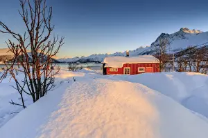 Svolvaer Prints: The winter sun illuminates a typical Norwegian red house surrounded by fresh snow