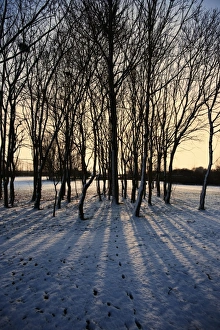 Images Dated 3rd February 2009: Winter sunrise and snow covered rural landscape in the countryside, Arrow Valley