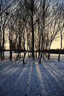 Covered Prints: Winter sunrise and snow covered rural landscape in the countryside, Arrow Valley