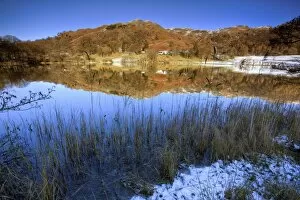 Images Dated 3rd December 2008: Winter view across Loughrigg Tarn with reflections, near Ambleside, Lake District National Park