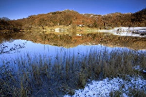 Images Dated 3rd December 2008: Winter view across Loughrigg Tarn with reflections, near Ambleside, Lake District National Park