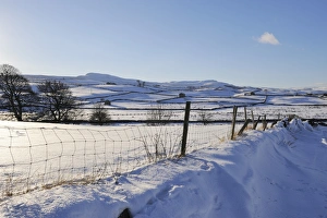 Wensleydale Prints: Winter view of snow covered fields, Wensleydale, Yorkshire Dales National Park