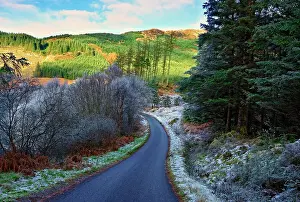 A winter view of a winding road through a wooded valley in the Ardnamurchan Peninsula