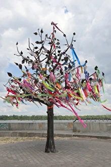 Ukraine Prints: Wish Tree, Kiev, Ukraine, Europe