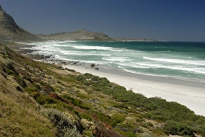 Images Dated 30th January 2009: Witzandbay, Cape Town, South Africa, Africa