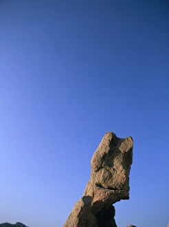 Wolf Prints: The Wolf, the Moon Valley