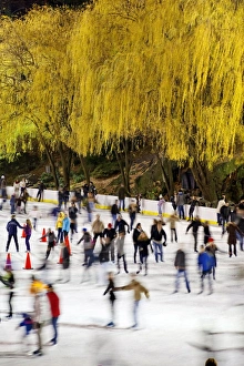 Images Dated 6th December 2009: Wollman Ice rink in Central Park, Manhattan, New York City, New York, United States of America
