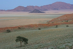 Namib Rand Prints: Wolvedans, Namib Rand Nature Reserve, Namibia, Africa