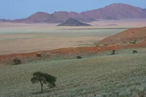 Wolvedans , Namib Rand Nature Res erve, Namibia, Africa
