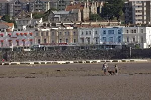 Woman, boy and dog, Weston-super-Mare, Somerset, England, United Kingdom, Europe Europe