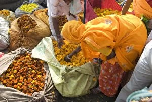 Images Dated 30th July 2005: Woman buying marigolds, flower market, Bari Chaupar, Jaipur, Rajasthan, India, Asia