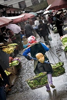 Dali Prints: Woman carrying produce to market, Dali old town, Dali, Yunnan, China, Asia