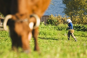 Woman collecting food on farm