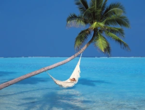 Enjoying Prints: Woman in hammock, South Male Atoll, Maldives, Indian Ocean, Asia