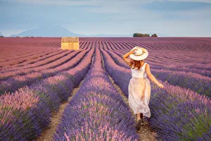 Woman with hat running in lavender fields, Plateau de Valensole, Alpes-de-Haute-Provence