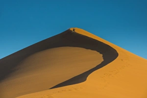 Woman hiking up the giant Sand Dune 45, Sossusvlei, Namib-Naukluft National Park