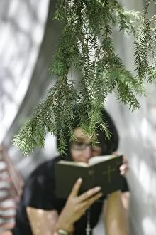 Woman reading the Bible, Chatillon-sur-Chalaron, Ain, France, Europe