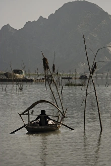 Sticks Prints: Woman rowing on Canal of Ken Ga, Ninh Binh, Vietnam, Indochina, Southeast Asia, Asia