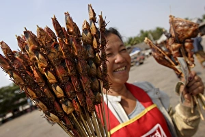 Kebab Prints: Woman selling bug skewers at a bus stop