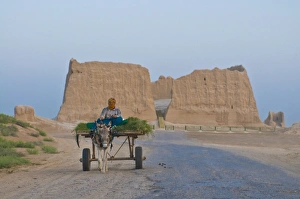 Images Dated 4th August 2009: Woman sitting on a donkey cart, Merv, UNESCO World Heritage Site, Turkmenistan