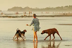 Friends Prints: Woman walking small dogs scared of a large playful Ridgeback on popular Playa Guiones surf beach
