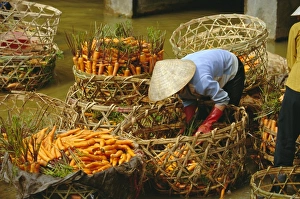 Vege Table Prints: Woman washing carrots