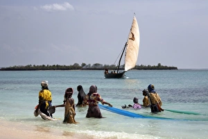 Fishing Net Prints: Women fishing on Kendwa Beach, Zanzibar, Tanzania, East Africa, Africa