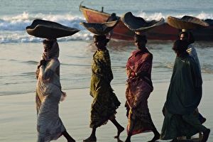 Coat Prints: Women using turtle shells to carry fish on their heads