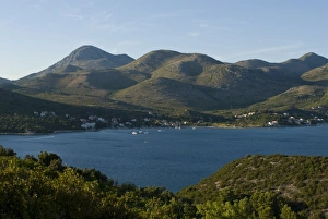 Images Dated 10th August 2008: The wonderful Dalmatian Coast with forest, Croatia, Europe