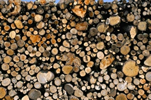 Pile Prints: Wood detail, Tuscany, Italy, Europe