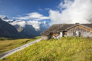 Grindelwald Prints: Wood hut with Mount Eiger in the background, First, Grindelwald, Bernese Oberland