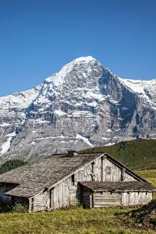 Grindelwald Prints: Wood hut with Mount Eiger in the background, Mannlichen, Grindelwald, Bernese Oberland