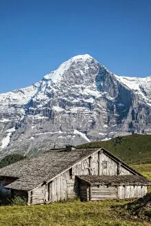Switzerland Gallery: Wood hut with Mount Eiger in the background, Mannlichen, Grindelwald, Bernese Oberland