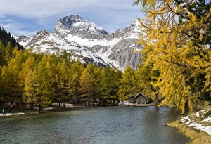 Typically Swiss Prints: Wood hut on the shore of Lai da Palpuogna (Palpuognasee), Bergun, Albula Pass, Canton