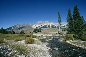 Saw Tooth Prints: Wood River and Sawtooths