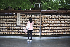 Images Dated 11th May 2008: Wooden fortune (omikuji), prayer plaques, Meiji Jingu Shrine, Shinto Shrine