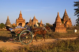 Pulling Prints: Wooden horse cart taking tourists around Bagan temples