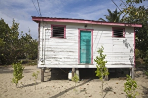 Single Storey Prints: Wooden house, Placencia, Belize, Central America