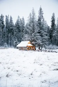 Cabin Prints: Wooden house stands in snow with fir trees around it on a winter day in Poland