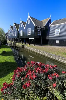 North Holland Prints: Wooden houses reflected in the canal framed by flowers in the village of Marken, Waterland