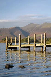 Jetties Prints: Wooden jetty at Barrow Bay landing on Derwent Water looking north to Skiddaw in autumn