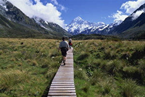 Hooker Valley Prints: Wooden path through Hooker Valley