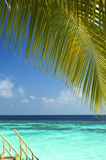 Wooden stairs out to tropical sea, Maldives, Indian Ocean, Asia