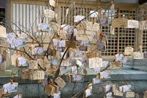 Shintoism Prints: Wooden tablets called ema with messages to god hanging on a tree at a Japanese Shinto shrine