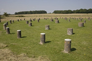 Cultivated Prints: Woodhenge, showing circular design, Amesbury, Wiltshire, England, United Kingdom, Europe