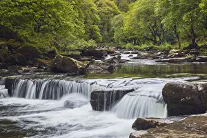 A woodland stream, the River Dart flowing through ancient oak woodland, in the heart