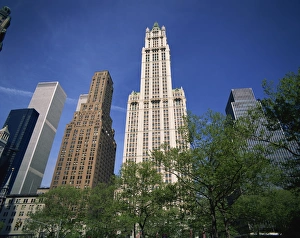 The Woolworth Building