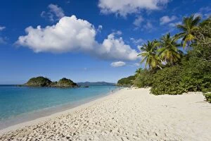 Images Dated 26th January 2008: The world famous beach at Trunk Bay, St. John, U. S. Virgin Islands, West Indies