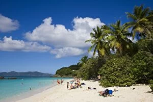 Images Dated 26th January 2008: The world famous beach at Trunk Bay, St. John, U.S. Virgin Islands, West Indies