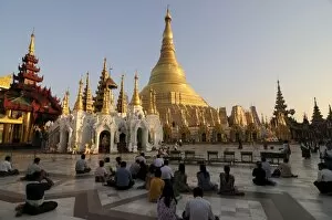 Images Dated 3rd January 2008: World famous Shwedagon Paya, Yangon (Rangoon), Myanmar, Asia